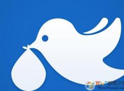 菜鸟裹裹手机号查快递怎么查？菜鸟裹裹查快递教程！