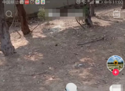 抖音群聊天怎么弄？抖音创建群聊天的方法