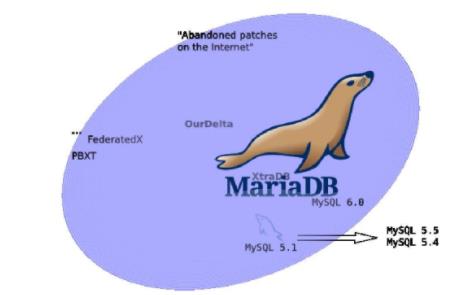 Win10如何安装mariaDB数据库软件？mariaDB下载+安装+配置教程