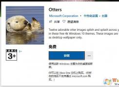 微软推出萌萌的水獭系列4K主题壁纸,用户可在应用商店下载(附网盘地址)