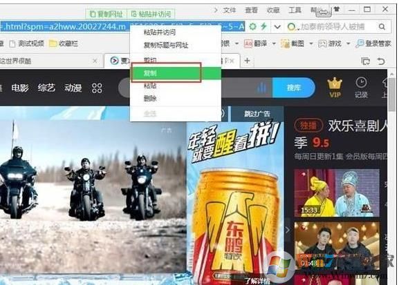 视频下载王Apowersoft v6.4.6中文破解版(网页视频下载工具)