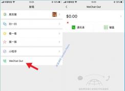 微信里的Wechat Out是什么？为什么打开会闪退？