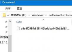 Win10更新包在哪？如何删除win10下载的更新包？