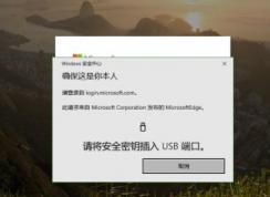win10 1903使用Edge访问微软网站提示：请将安全密钥插入USB端口 的解决方法