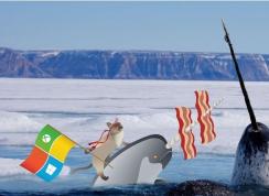 微软即日开始向旧版Win10的用户推送Win10 1909正式版更新