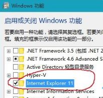 win10系统网页图片加载不出来该怎么办？网页图片不显示的解决方法