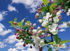 ps色彩范围怎么用？教你PS使用色彩范围来抠图的方法