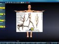 MakeHuman下载_MakeHuman(3D人体模型软件)v1.02 汉化开源免费版