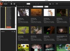 win10系统arw格式怎么打开？win10打开ARW文件教程