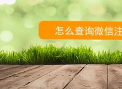 如何查询微信注册时间？教你查看微信号注册时间的方法