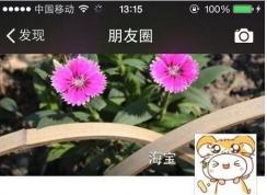 朋友圈停用仅自己可见,禁止任何人查看朋友圈方法