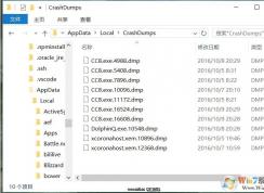 crashdumps文件夹是什么,里面的DMP文件可以删除吗