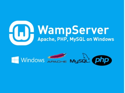 安装WAMP提示缺少msvcr100.dll文件解决方法