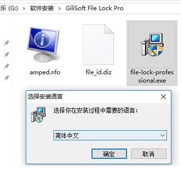 数据加密 GiliSoft File Lock Pro v11.3.0汉化破解版