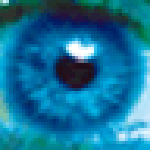 第三只眼监控软件下载_第三只眼v16.8破解版