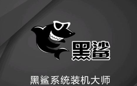 黑鲨装机大师下载_黑鲨一键装机软件官方最新版