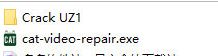 CAT Video Repair视频修复工具破解版