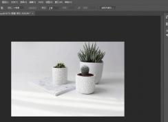 ps中粉色怎么调？ps实现粉色调效果教学方法