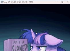 怎样设vieas为默认?将vieas设为默认看图工具的方法