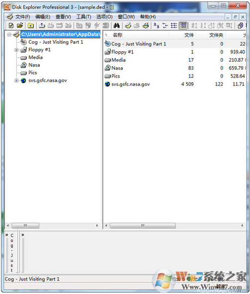 Disk Explorer Professional文件管理器绿色汉化版
