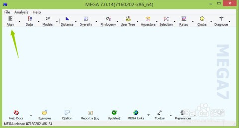 mega进化树软件
