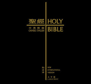 电子版圣经 中文免费版软件截图