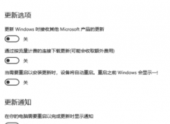 Win10强制更新20h2怎么关闭?Windows10强制更新20H2的解决方法