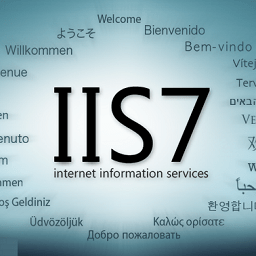 IIS 6.0下载|Internet安装包 V6.0 完整版