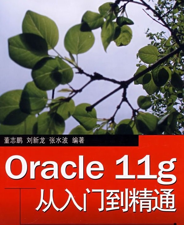 Oracle11g教程_Oracle11g从入门到精通PDF高清电子版