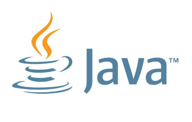 Java SE Runtime Environment(Java运行环境) V8.0.202多语言正式版