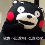 熊本熊表情包下载|熊本熊表白表情包无水印高清版
