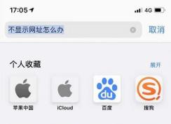 苹果手机/iPad无法复制浏览器网址的解决方法