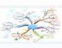 手绘思维导图软件