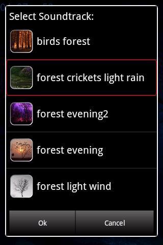 Forest专注森林
