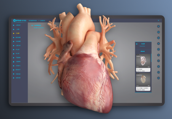 医维度3D人体解剖软件 2021PC版