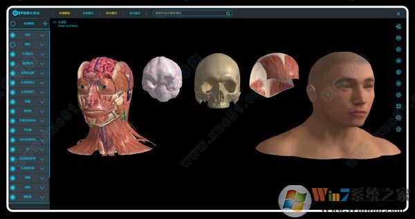 医维度3D人体解剖软件