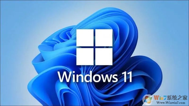 Win11家庭版和专业版有什么区别？Win11家庭版和专业版哪个好用？