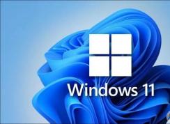 Win11家庭版和专业版有什么区别？Win11家庭版和专业版哪个好用？