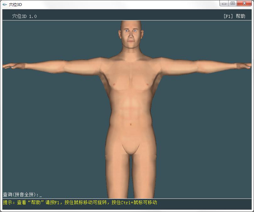 人体穴位3D模型软件 v2.11绿色版