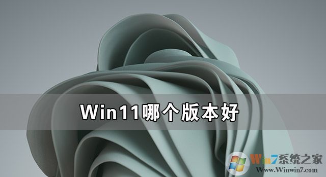 Win11哪个版本好