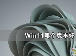 Win11系统哪个版本好用,Win11最好用的版本介绍