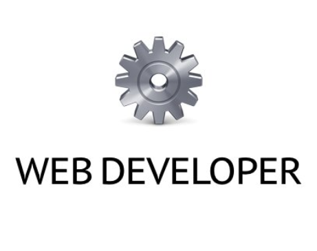Web Developer(Chrome Web开发工具插件) V0.5官方版