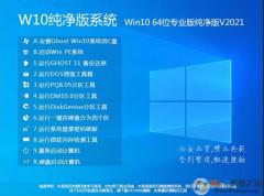 W10纯净版下载|W10系统纯净版专业版[64位]最新版本 v2021.12