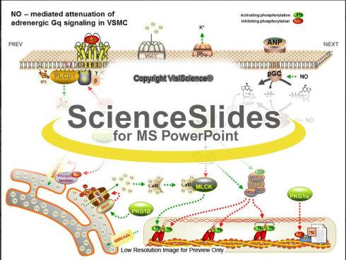 ScienceSlides(PPT制作插件)