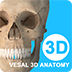 维萨里3D解剖 安卓版v5.4.4