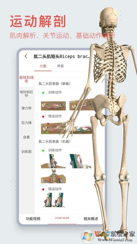 3Dbody解剖医学软件