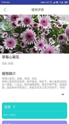 森林甜心APP