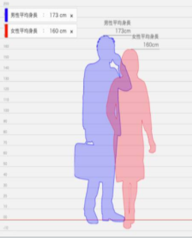 身长比较日本软件中文版软件特色