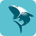 鲨鱼影视2022最新版 V6.3.1安卓版