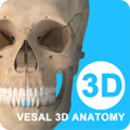 维萨里3D解剖全集